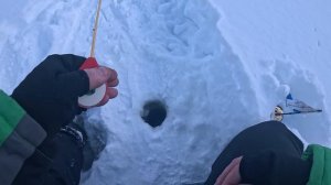 🧊 Зимний фестиваль в Шаховской: мормышка, клёв и настроение на высоте!