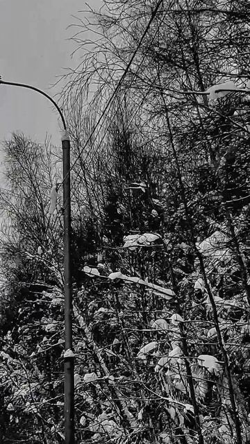 Люби ближнего твоего 🙏