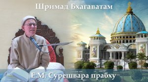 12.02.2026 || Шримад Бхагаватам 11.5.50-52 || Е.М. Сурешвара прабху