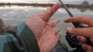 Рыбалка на сазана, наживка опарыш и червяк