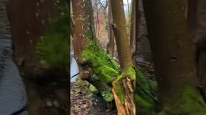 душевный отдых.mp4