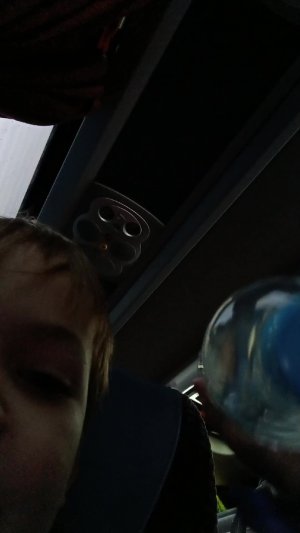 Едем на экскурсию