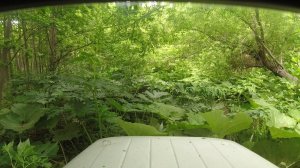 Через дебри к металлу