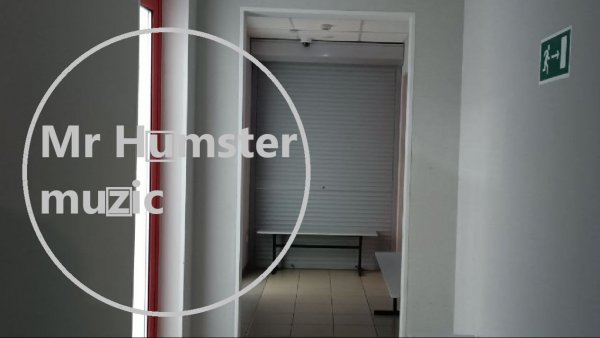 Mr Humster muzic / bass 10