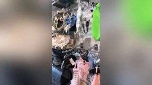 Ультразвуковая чистка зубов для бишона удаление камня.