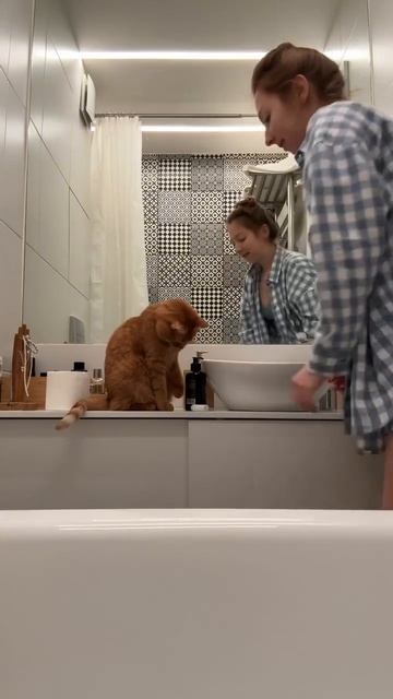 игры с кошкой