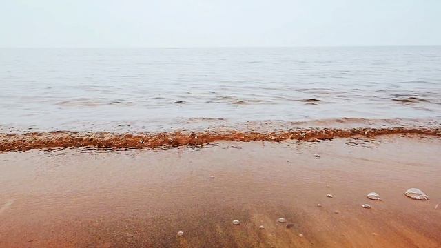 Радиоуправляемый внедорожник на снежном бездорожье 4x4 Crossrc EMO X5 смотреть онлайн