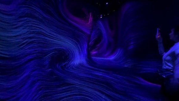 TeamLab Phenomena