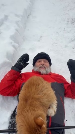 Духовная телеграмма от Батюшки, 10 февраля 2026