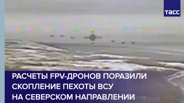 Расчеты FPV-дронов поразили скопление пехоты ВСУ на северском направлении