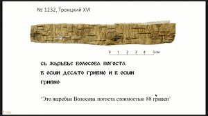 45 Гиппиус Алексей Алексеевич Берестяные грамоты 2025