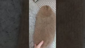 Платок цвета меланж и шапка цвета капучино. Видео отзыв моей покупательницы Наталии.