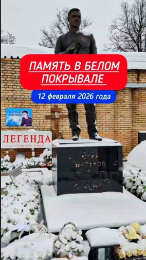 Снежная атмосфера сегодня на могиле Юрия Шатунова #shorts #шатунов #2026 #белыерозы #ласковыймай
