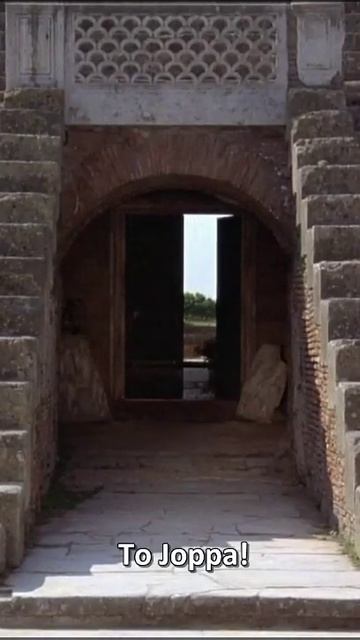 Персей ты куда? | #nightthrasher113 #марв #marv #113 #twitch #твич #битватитанов