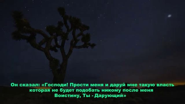 Сура 38. «Сад» (Сад). Чтец: Хатим Фарид. смотреть онлайн