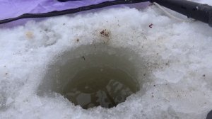 РЫБОЛОВ  ИВАНОВИЧ . Трейлер...