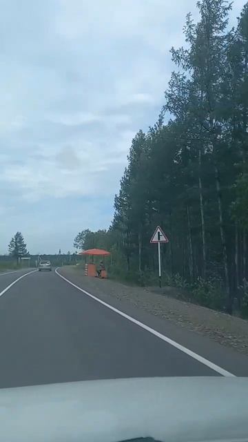 Чита! смотреть онлайн