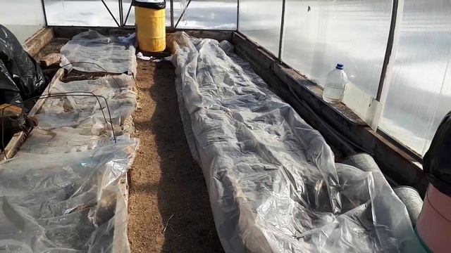 2229.  ВПЛ.Пора в теплицу заглянуть!