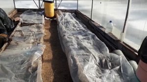 2229.  ВПЛ.Пора в теплицу заглянуть!