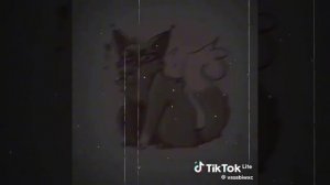 Коты воители Белка. (Не мое)