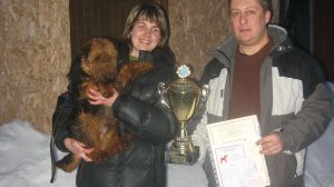 Вельш терьеры-Снег-Февраль