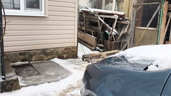 ПЕРЕЦ - ПОСЕЯЛА. ЕСТЬ НОВОСТЬ. Петя в КОРОВНИКЕ.