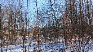 Утро на хуторе.Прогулка по лесу.