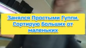 Занялся Простыми Гуппи. Сортирую больших от маленьких