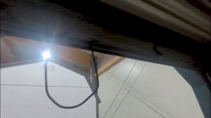 #386 WESLEY has been busy! What is he doing? 12.02.2026