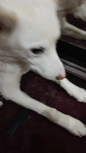 мой четверг 📐📕❤️