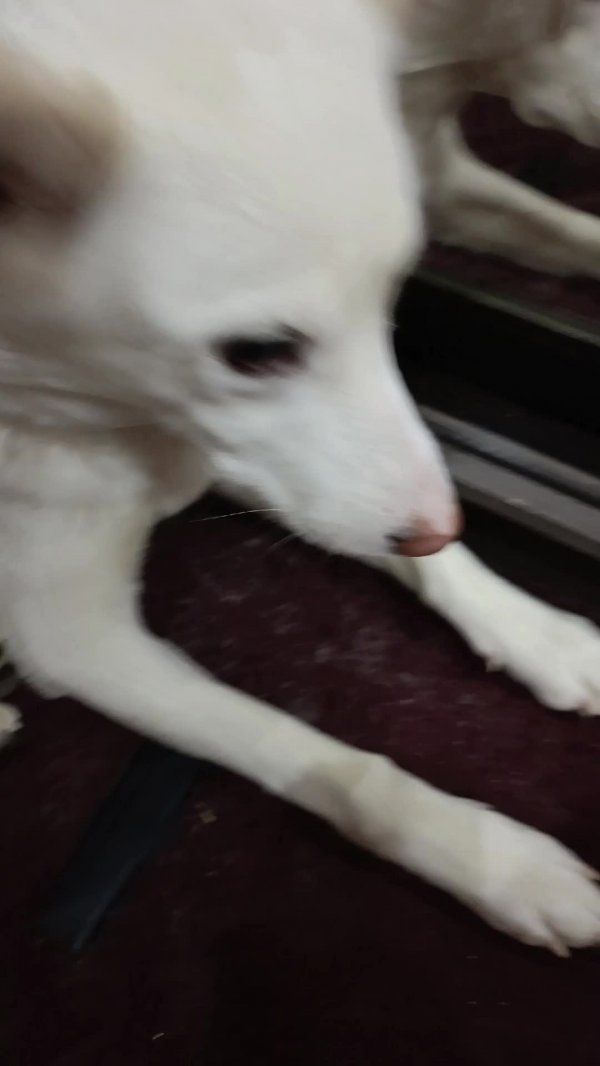 мой четверг 📐📕❤️