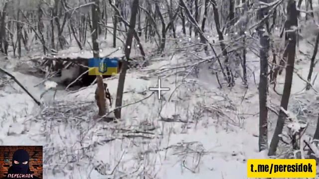 Сафари на пехоту ВСУ смотреть онлайн