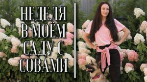 Одна неделя из жизни моего сада.