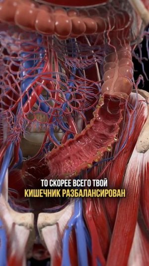 Посмотрите на свои ноги, они скажут вам о болезнях