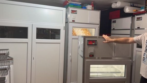 Надо ли инкубировать в 2026 году? Мороз и инкубаторы. Воронежский инкубатор на коробку куриного яйца