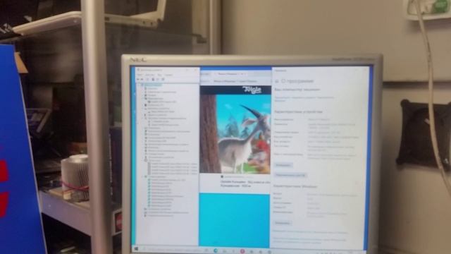 Матплата Asus E510MA заказ 19219 - контрольный запуск. смотреть онлайн