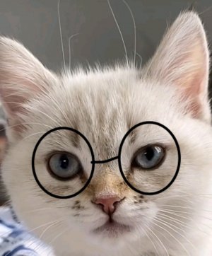 всем привет