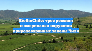 BioBioChile: трое россиян и американец нарушили природоохранные законы Чили