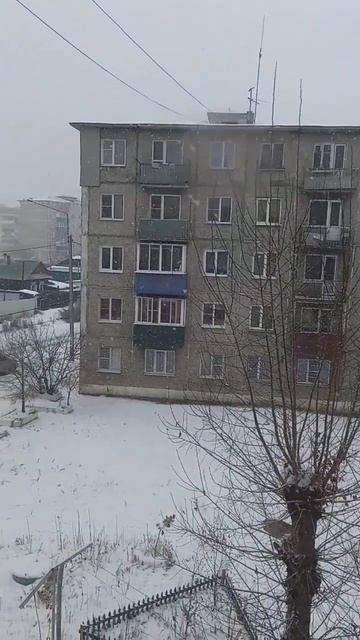 чита! смотреть онлайн