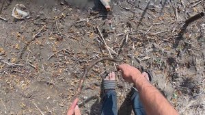 САМАЯ УБОЙНАЯ ОСНАСТКА НА САЗАНА! СУМАСШЕДШИЙ КЛЁВ НА ЖМЫХ! Наловил столько, аж пришлось выпускать.