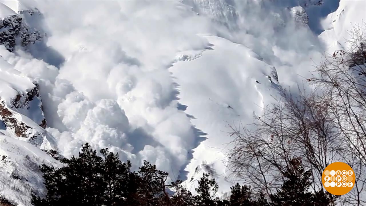 Укротители лавин. Доброе утро. Фрагмент выпуска от 12.02.2026 смотреть онлайн