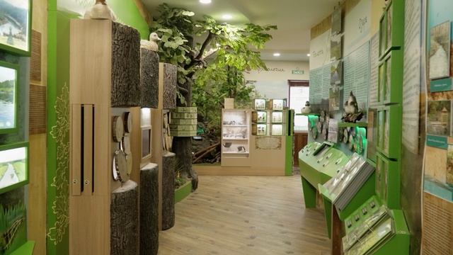 УРОК 5. КАЛЕНДАРНЫЙ ГРАФИК смотреть онлайн