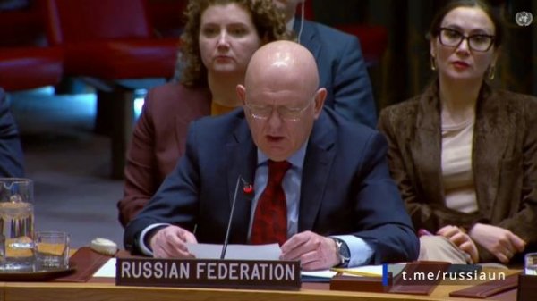 Выступление В.А.Небензи на заседании Совета Безопасности ООН по Йемен, Нью-Йорк, 12 февраля 2026 г.