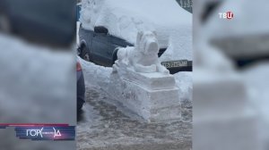 Житель Конькова превратил уличные сугробы в фигуры животных