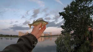 Рыбалка на спиннинг 05.06.2021. В поисках хищной рыбы по знакомым местам...