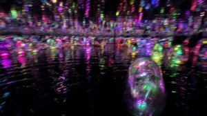 TeamLab Phenomena
