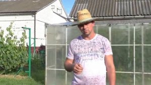 Виноград. Саженцы -первогодки . Вопросы - ответы.(360p)