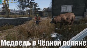 Dayz Неудержимые 2.0 - Медведь в Чёрной поляне #2