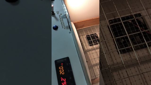 Обзор обновленной версии инкубатора на 78 яиц