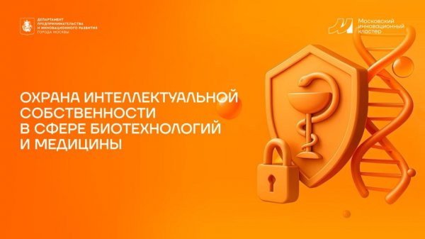 Формирование и актуализация портфеля прав ИС компании